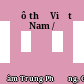 Đô thị Việt Nam /