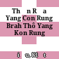 Thần Rủa Yang Con Rung Brah Thô Yang Kon Rung