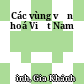 Các vùng văn hoá Việt Nam