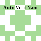 Auto Việt Nam