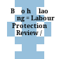 Bảo hộ lao động = Labour Protection Review /