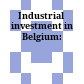 Industrial investment in Belgium: