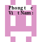 Phong tục Việt Nam :