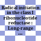 Radical initiation in the class I ribonucleotide reductase : Long-range proton-coupled electron transfer ? /
