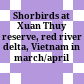 Shorbirds at Xuan Thuy reserve, red river delta, Vietnam in march/april 1991