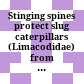 Stinging spines protect slug caterpillars (Limacodidae) from multiple generalist predators /