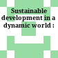Sustainable development in a dynamic world :