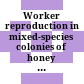 Worker reproduction in mixed-species colonies of honey bees /