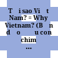 Tại sao Việt Nam? = Why Vietnam? (Bản dạo đầu con chim Hải Âu của nước Mỹ) /