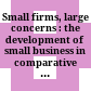Small firms, large concerns : the development of small business in comparative perspective /
