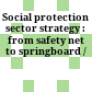 Social protection sector strategy : from safety net to springboard /