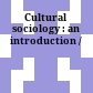 Cultural sociology : an introduction /
