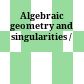 Algebraic geometry and singularities /