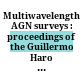 Multiwavelength AGN surveys : proceedings of the Guillermo Haro Conference 2003 : Cozumel, Mexico, 8-12 December 2003 /