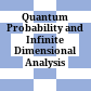 Quantum Probability and Infinite Dimensional Analysis /