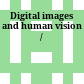 Digital images and human vision /
