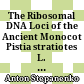The Ribosomal DNA Loci of the Ancient Monocot Pistia stratiotes L. (Araceae) Contain Different Variants of the 35S and 5S Ribosomal RNA Gene Units