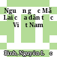 Nguồn gốc Mã Lai của dân tộc Việt Nam