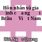 Hôn nhân và gia đình của người Brâu ở Việt Nam