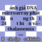 Đánh giá DNA microarray phát hiện đồng thời 24 đột biến và - thalassemia phổ biến tại Việt Nam