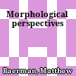 Morphological perspectives