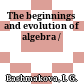 The beginnings and evolution of algebra /