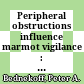 Peripheral obstructions influence marmot vigilance : integrAting observational and experimental results /
