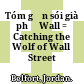 Tóm gọn sói già phố Wall = Catching the Wolf of Wall Street /
