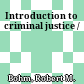 Introduction to criminal justice /