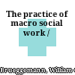 The practice of macro social work /
