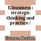 E-business : strategic thinking and practice /