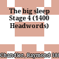 The big sleep Stage 4 (1400 Headwords)