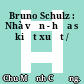 Bruno Schulz : Nhà văn - họa sĩ kiệt xuất /