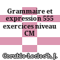 Grammaire et expression 555 exercices niveau CM