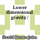 Lower dimensional gravity /