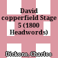 David copperfield Stage 5 (1800 Headwords)