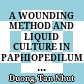 A WOUNDING METHOD AND LIQUID CULTURE IN PAPHIOPEDILUM DELENATII PROPAGATION