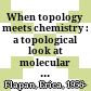 When topology meets chemistry : a topological look at molecular chirality /
