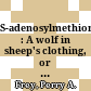 S-adenosylmethionine : A wolf in sheep's clothing, or a rich man's adenosylcobalamin ? /