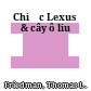 Chiếc Lexus & cây ô liu