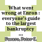 What went wrong at Enron : everyone's guide to the largest bankruptcy in U.S. history /