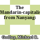 The Mandarin-capitalists from Nanyang: