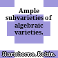 Ample subvarieties of algebraic varieties.