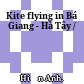 Kite flying in Bá Giang - Hà Tây /