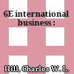 6E international business :