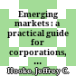Emerging markets : a practical guide for corporations, lenders, and investors /
