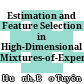 Estimation and Feature Selection in High-Dimensional Mixtures-of-Experts Models