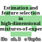 Estimation and feature selection in high-dimensional mixtures-of-experts models