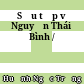 Sưu tập về Nguyễn Thái Bình /