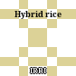 Hybrid rice